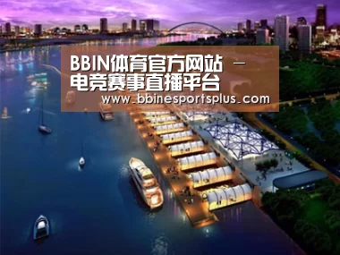 案例展示八