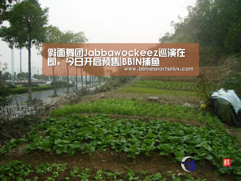 假面舞团Jabbawockeez巡演在即,今日开启预售|BBIN捕鱼(图3) BBIN视讯