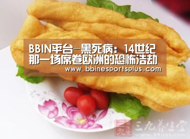 BBIN视讯