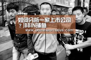 如何分析一家上市公司?|BBIN捕鱼(图1) BBIN平台