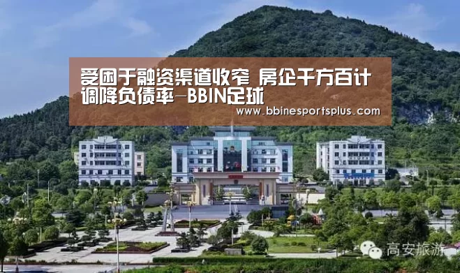 BBIN平台