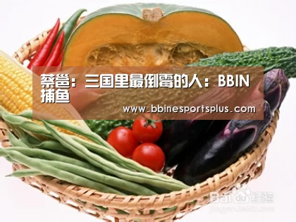蔡邕:三国里最倒霉的人:BBIN捕鱼(图1) BBIN平台